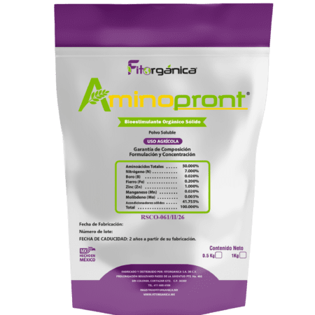 Aminopront