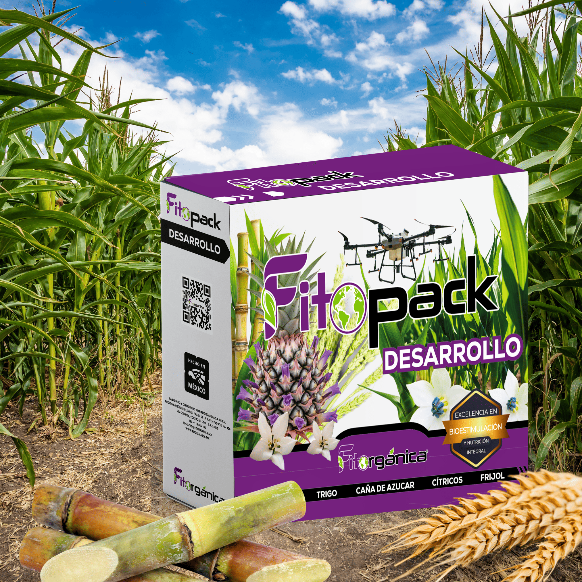 Fitopack Desarrollo