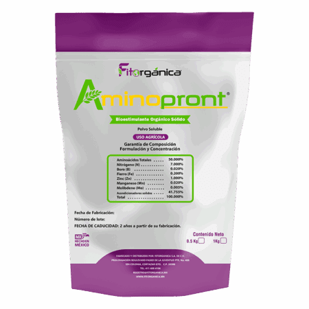 Aminopront