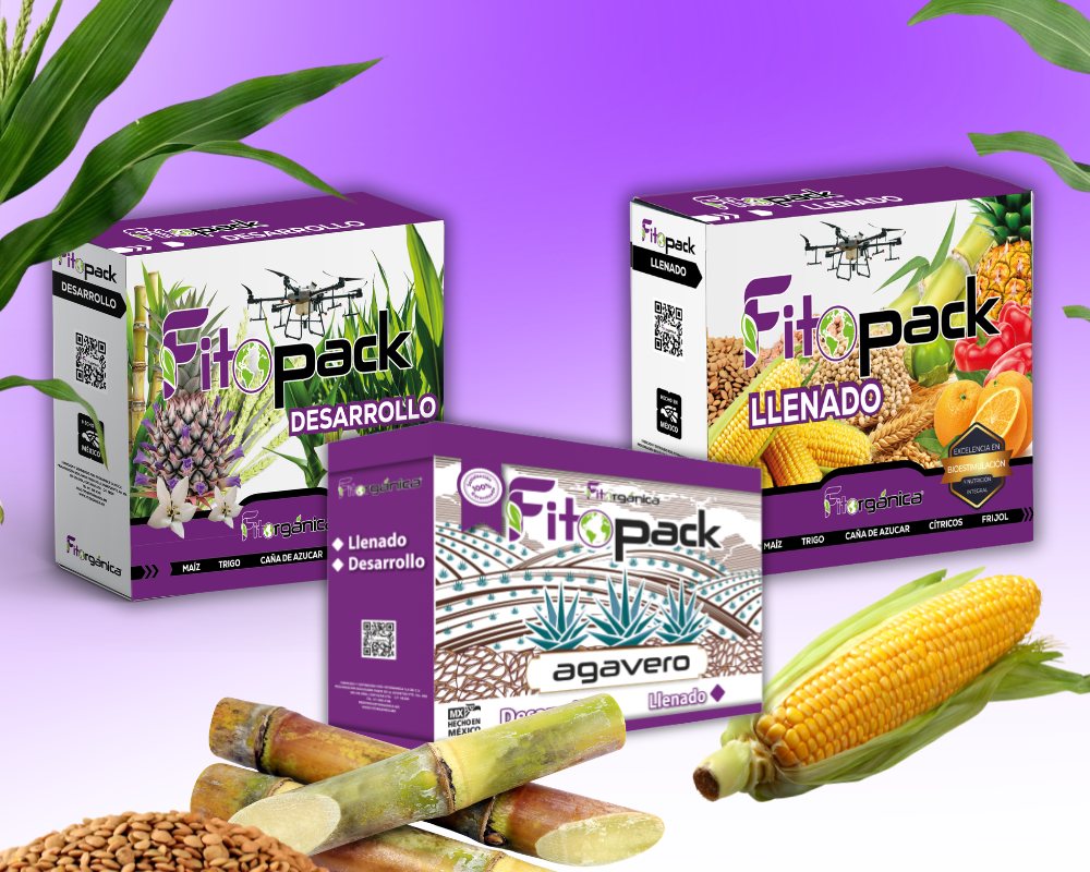 Paquetes nutrimentales